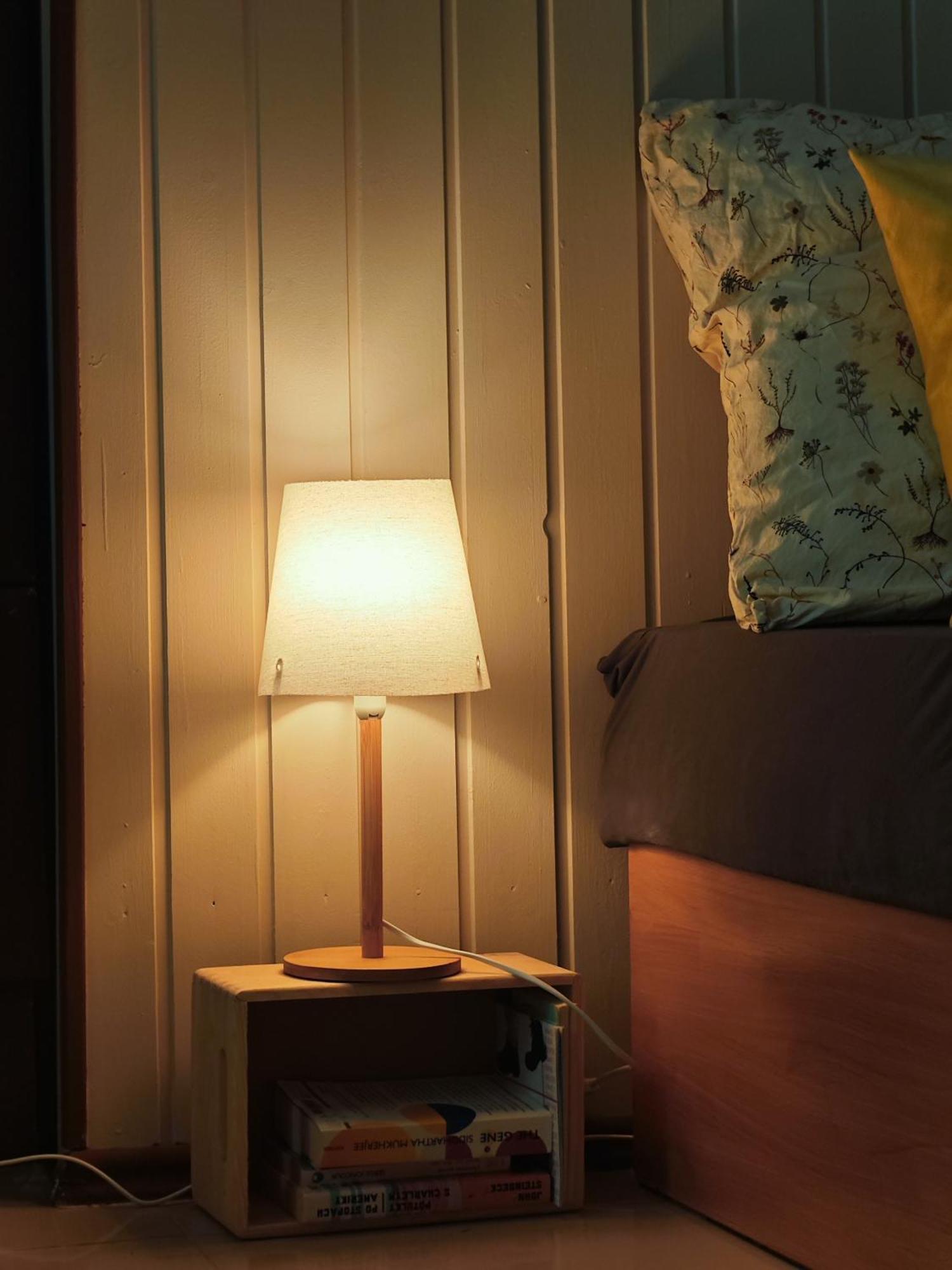 Vintage Room With Garden View براتسيلافا المظهر الخارجي الصورة