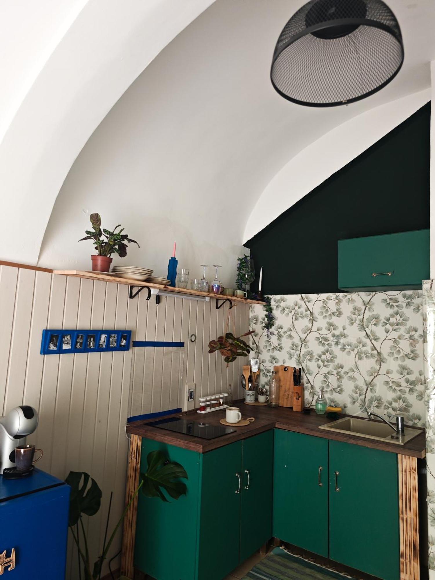 Vintage Room With Garden View براتسيلافا المظهر الخارجي الصورة