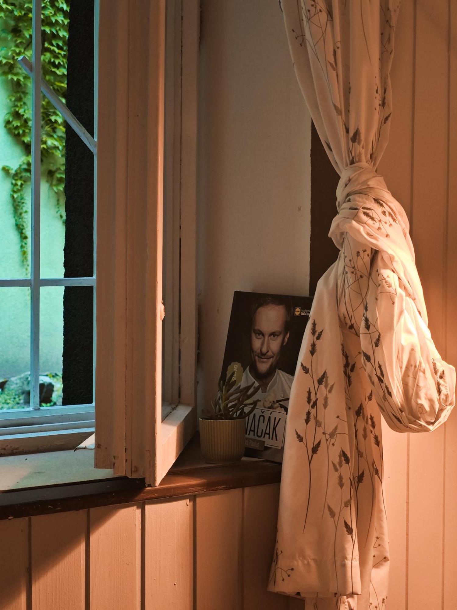 Vintage Room With Garden View براتسيلافا المظهر الخارجي الصورة