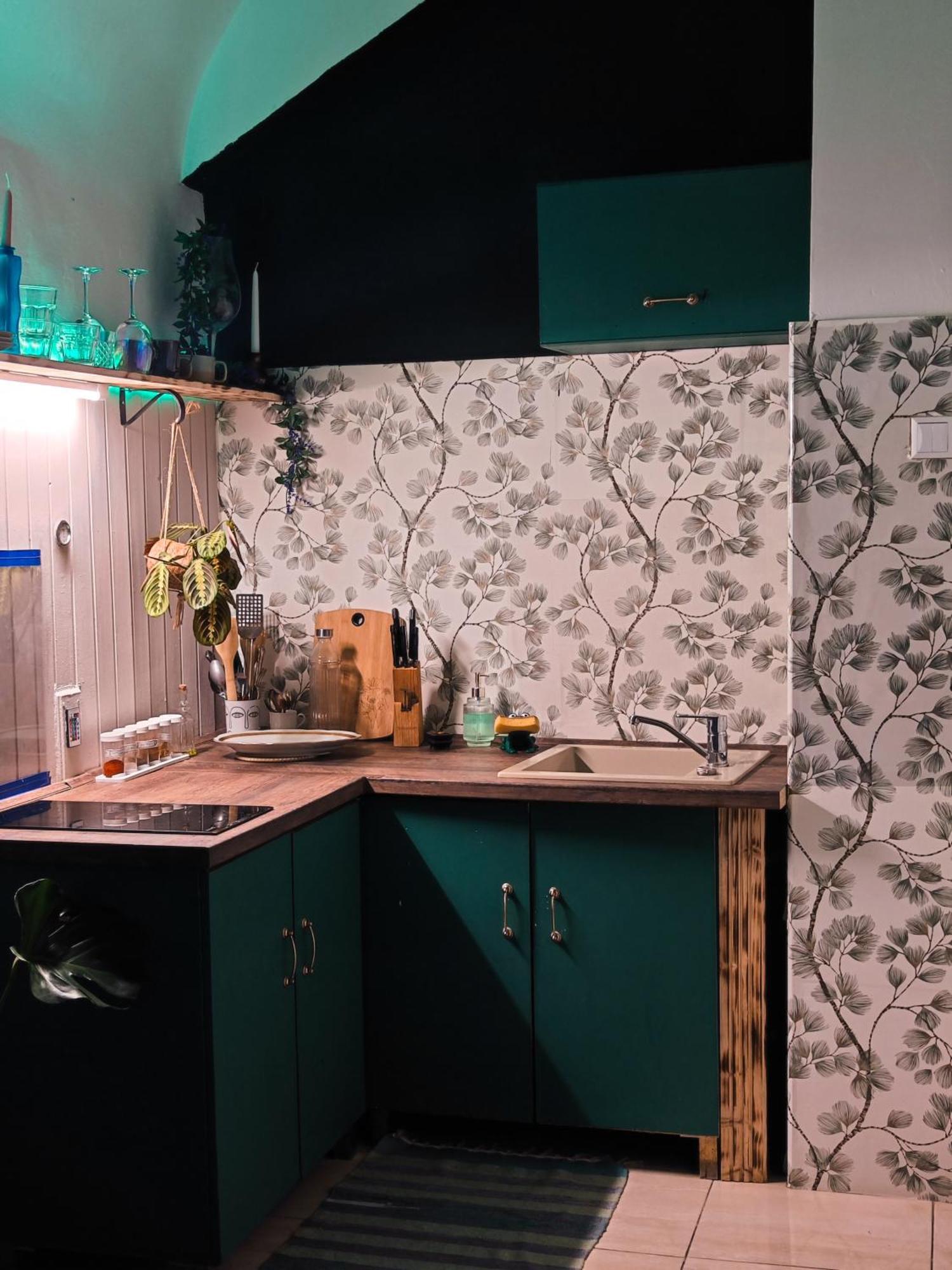 Vintage Room With Garden View براتسيلافا المظهر الخارجي الصورة