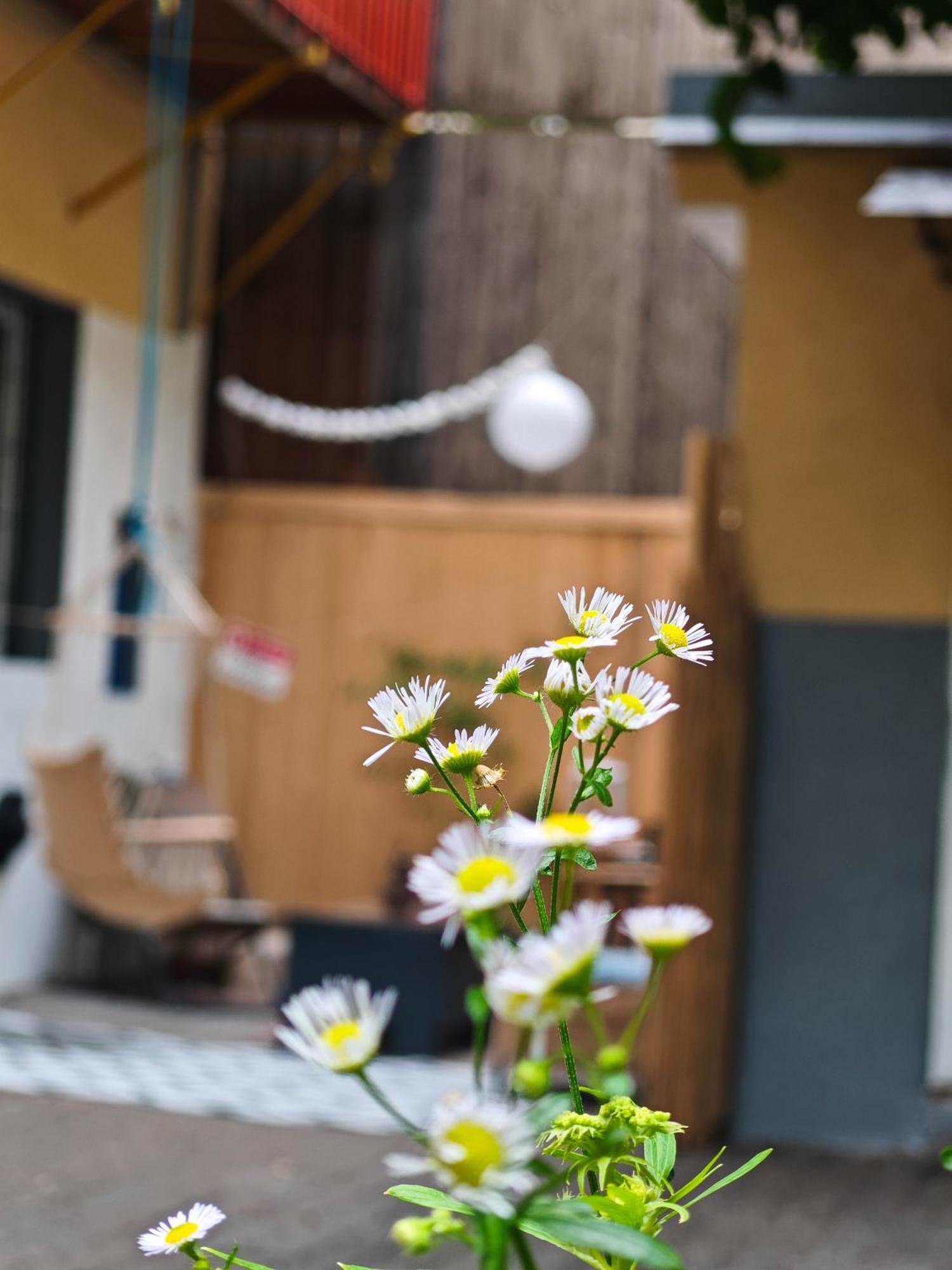 Vintage Room With Garden View براتسيلافا المظهر الخارجي الصورة