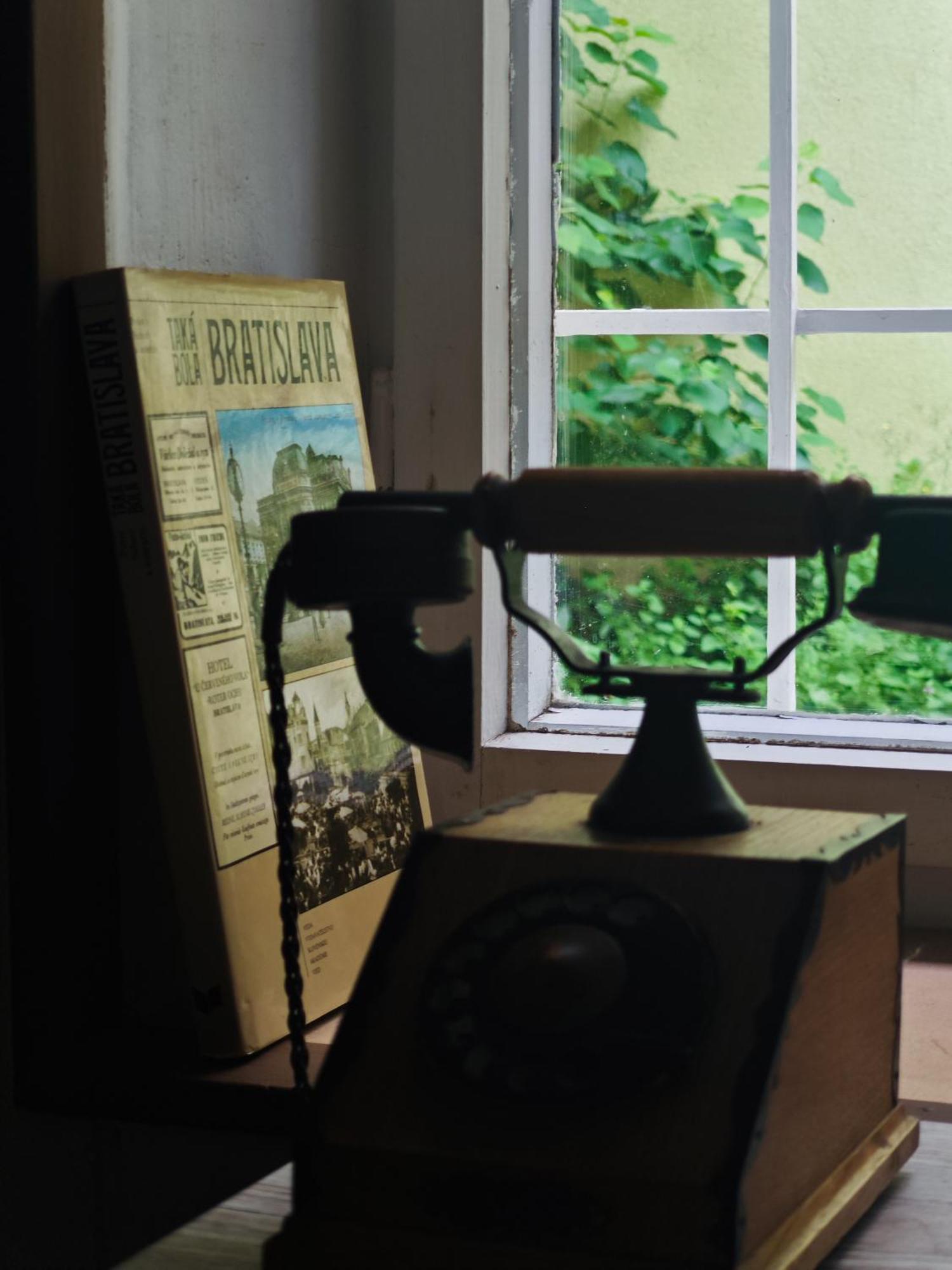 Vintage Room With Garden View براتسيلافا المظهر الخارجي الصورة