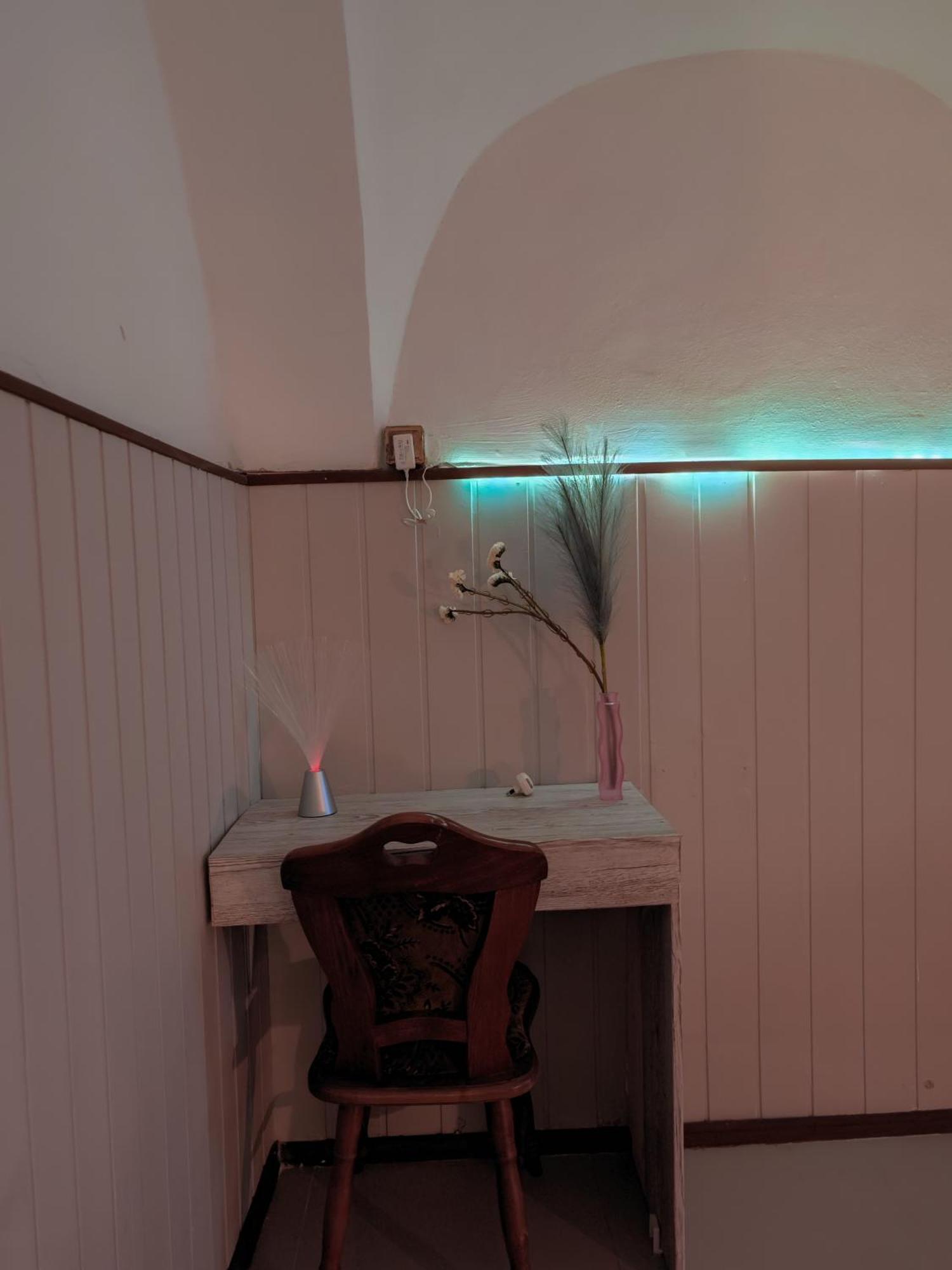 Vintage Room With Garden View براتسيلافا المظهر الخارجي الصورة