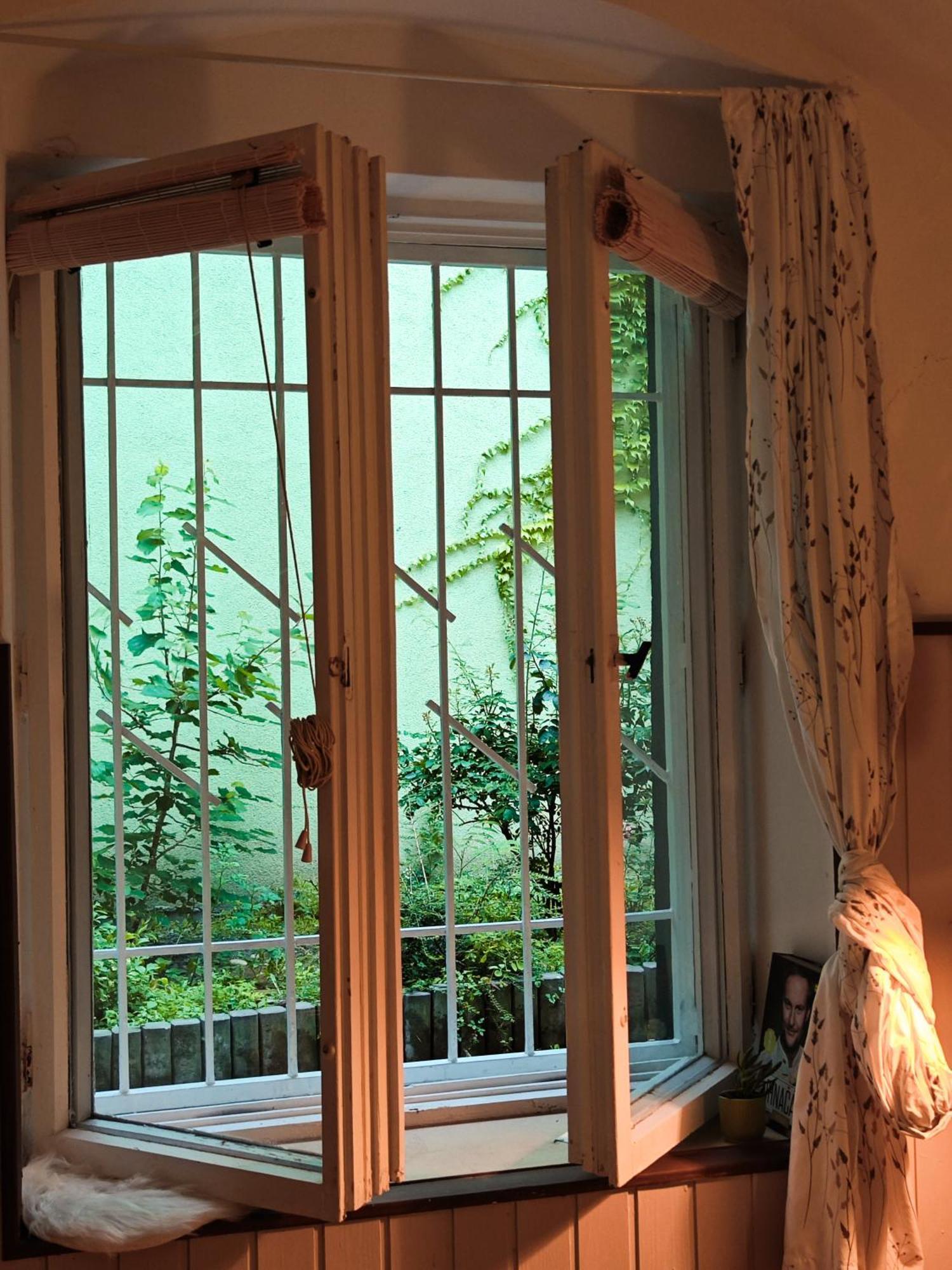 Vintage Room With Garden View براتسيلافا المظهر الخارجي الصورة