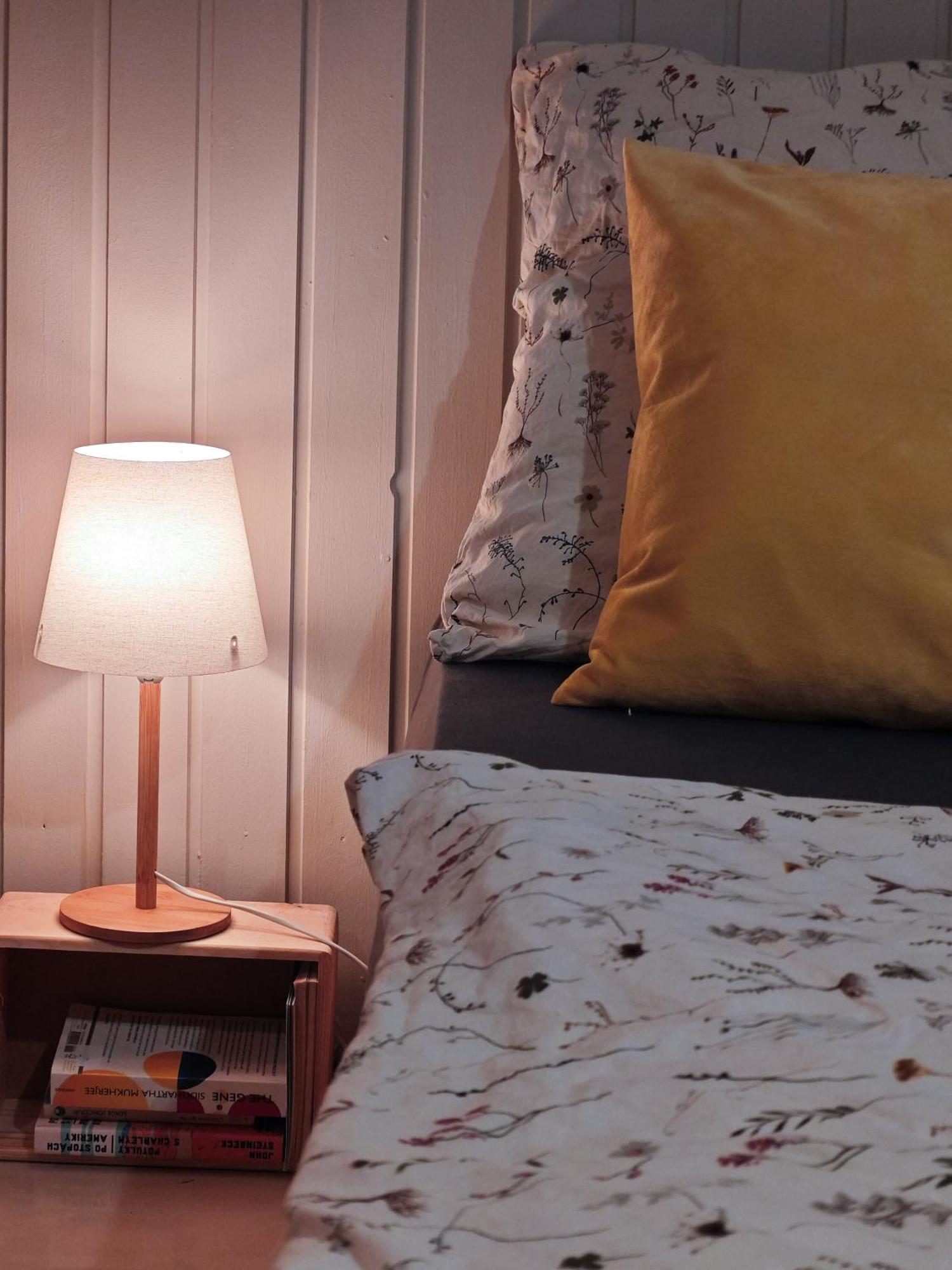 Vintage Room With Garden View براتسيلافا المظهر الخارجي الصورة