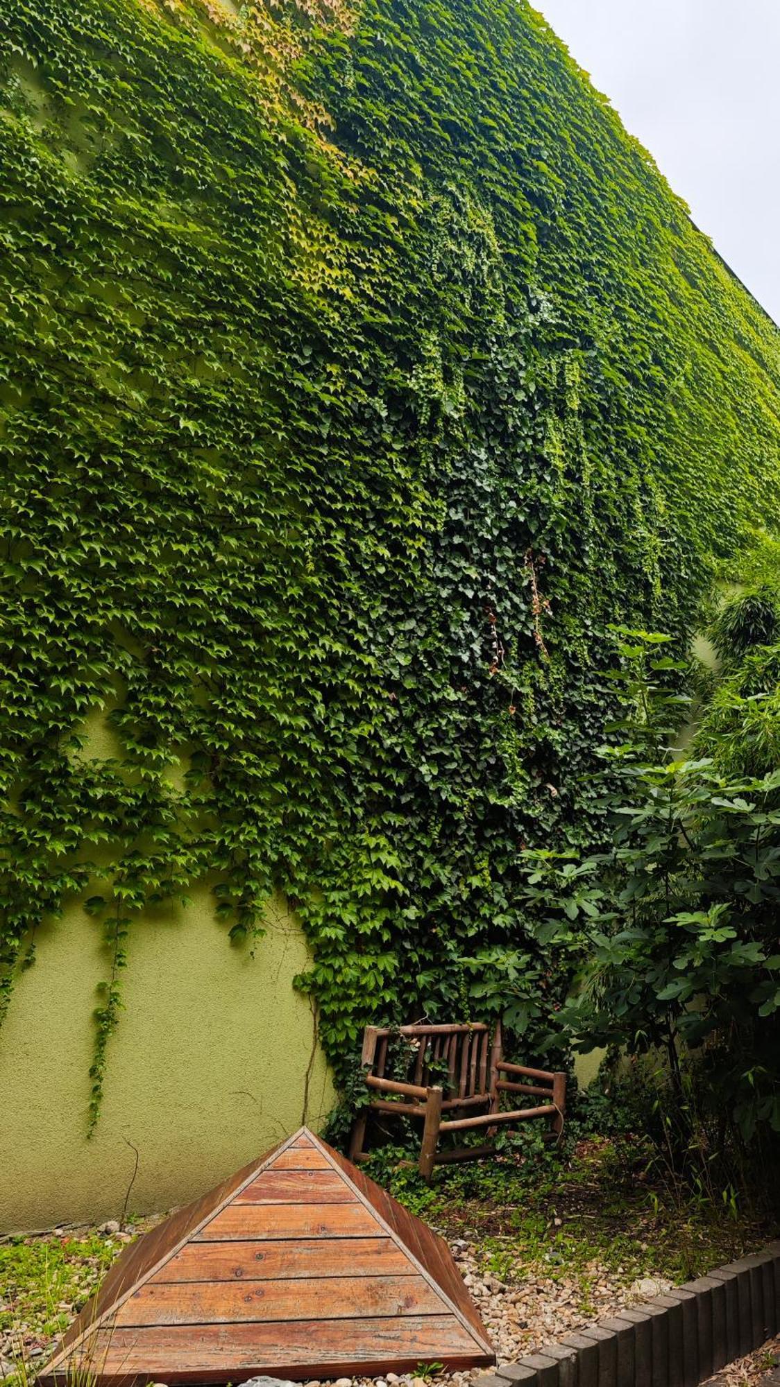 Vintage Room With Garden View براتسيلافا المظهر الخارجي الصورة